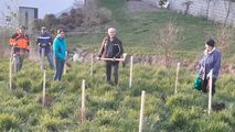 bienenfreundliche Gemeinde 4