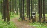 Wanderweg Eidenberg - Gymnastikweg